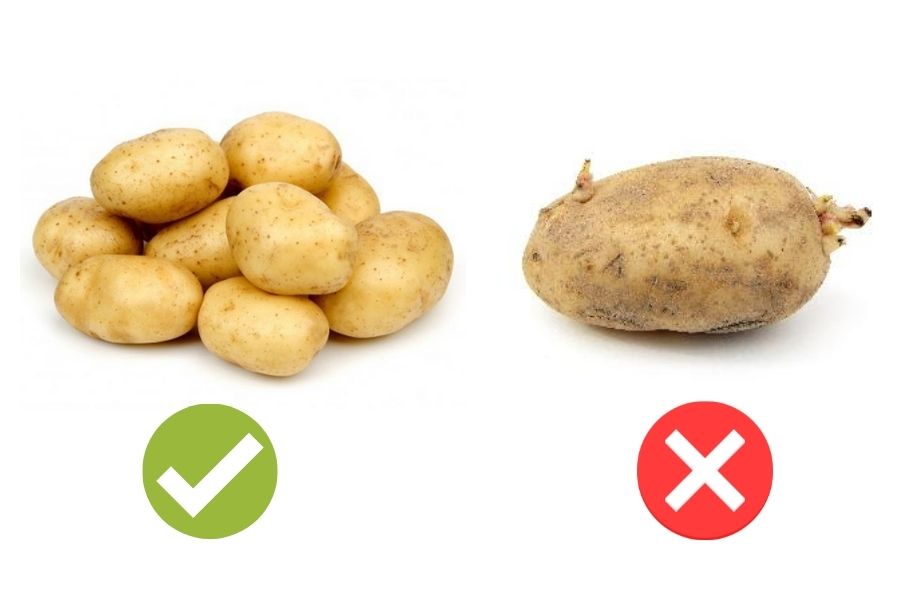 Cách chọn khoai tây tươi ngon, không bị bở